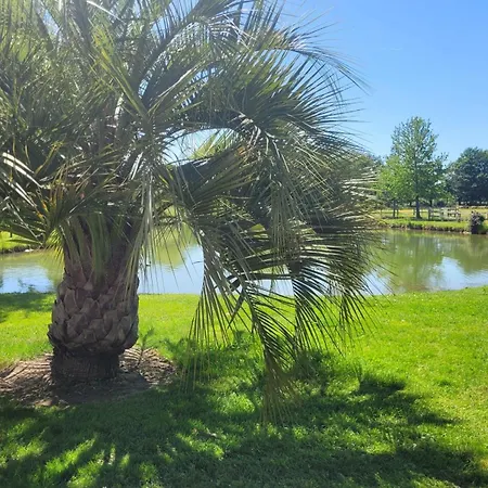 Avec Piscine Interieure Au Calme De La Campagne Pensionat 3*